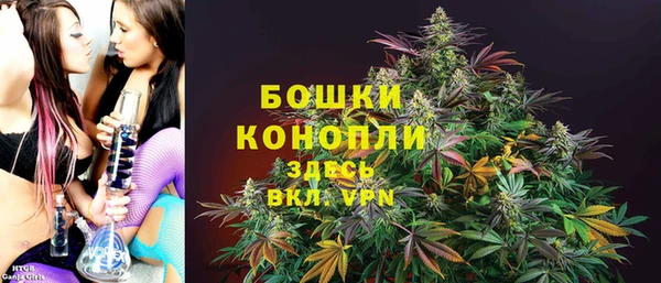 прущие крисы Арсеньев