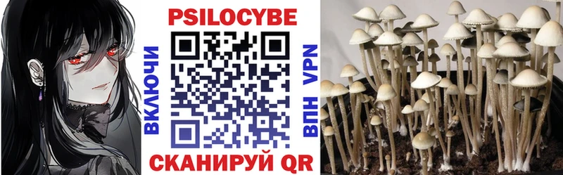 Псилоцибиновые грибы Psilocybe Советский